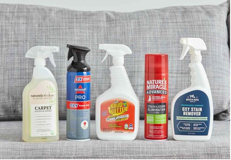 Can I use carpet spray to get rid of the dog smell