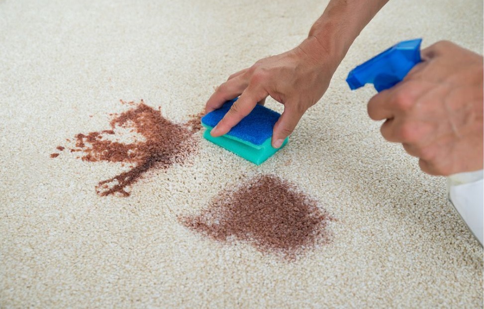 How to Clean Pet Stains from Carpet Naturally